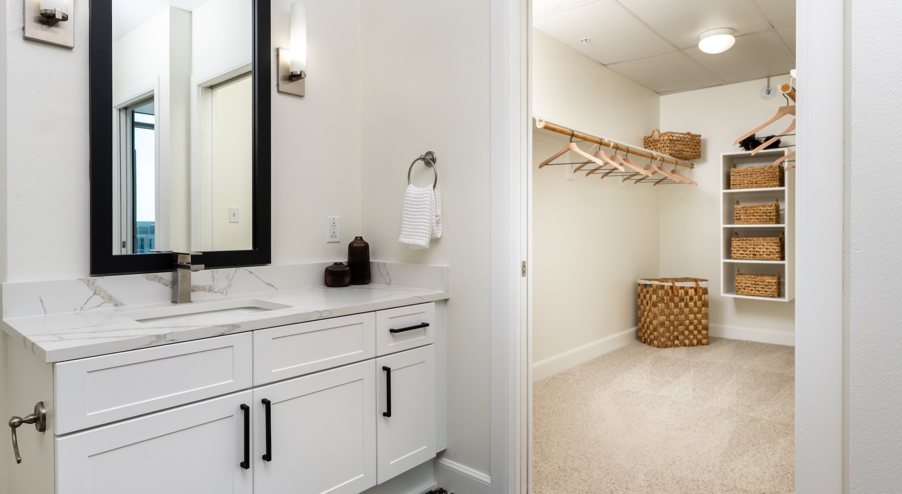 bathroom with sink mirror and a large walk in closet